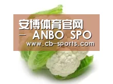 产品名称九
