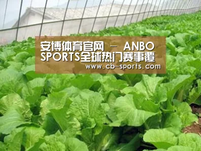 种植基地一