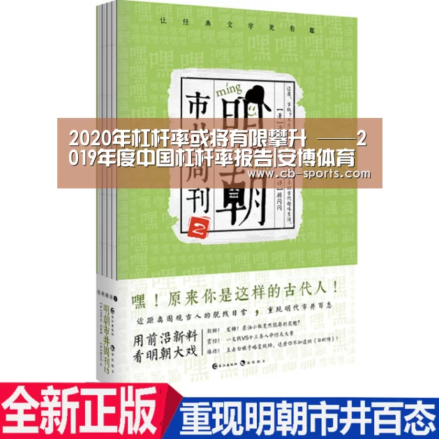 2020年杠杆率或将有限攀升 ——2019年度中国杠杆率报告|安博体育(图1) 安博体育