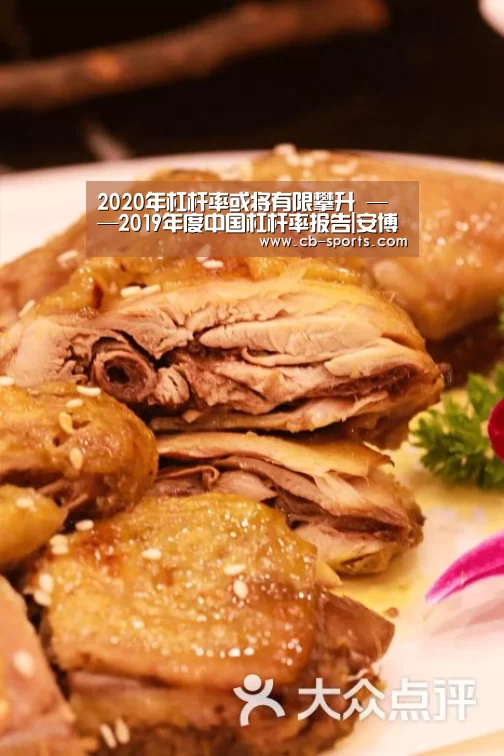 2020年杠杆率或将有限攀升 ——2019年度中国杠杆率报告|安博体育(图3) 安博体育官网